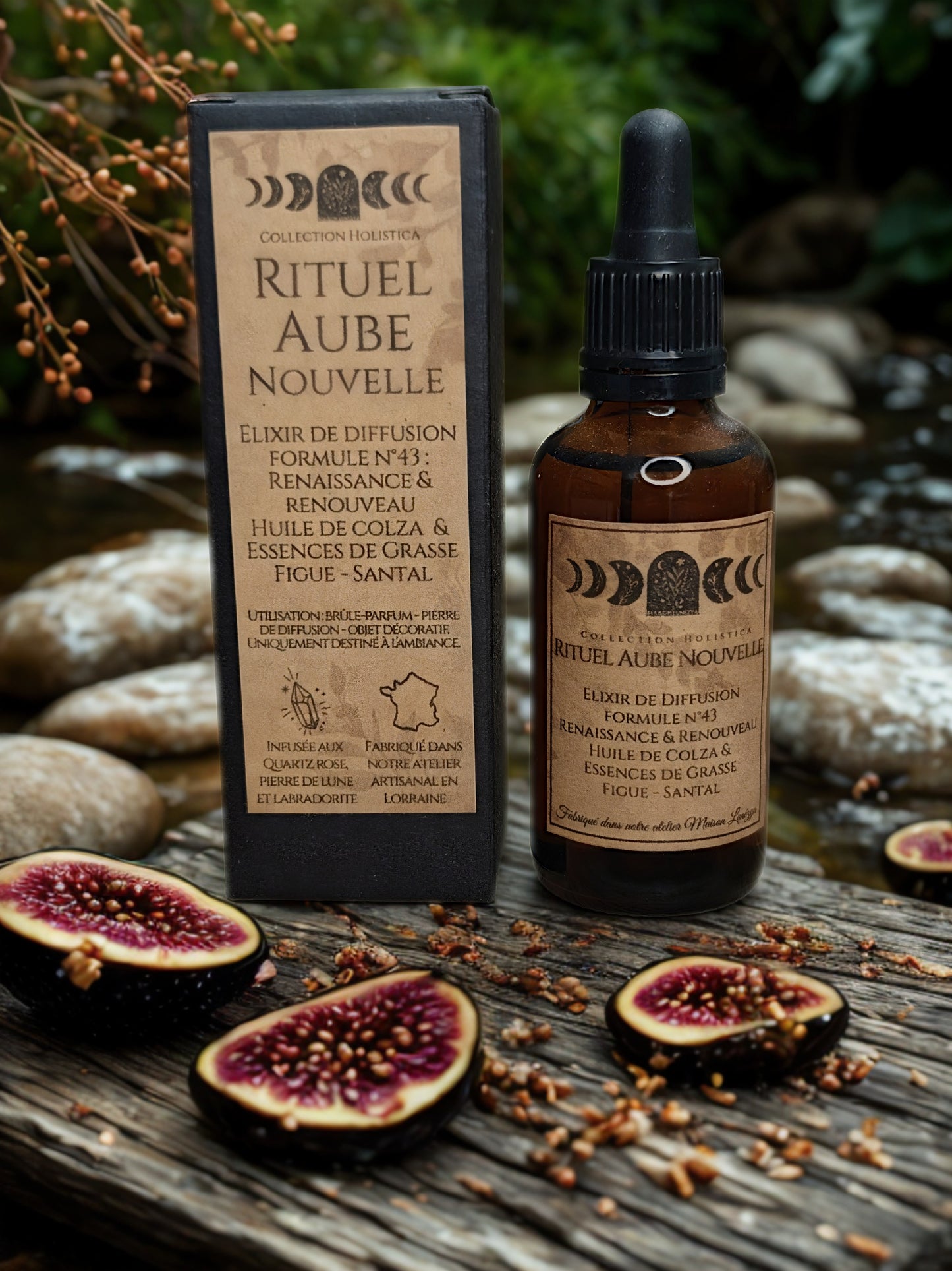 Aube Nouvelle — Holistica — Formule n°43 : Renaissance & Renouveau
