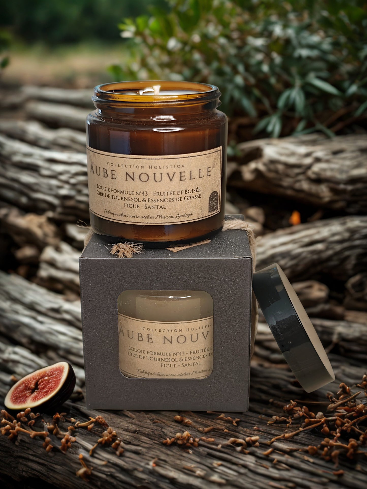 Aube Nouvelle — Holistica — Formule n°43 : Renaissance & Renouveau