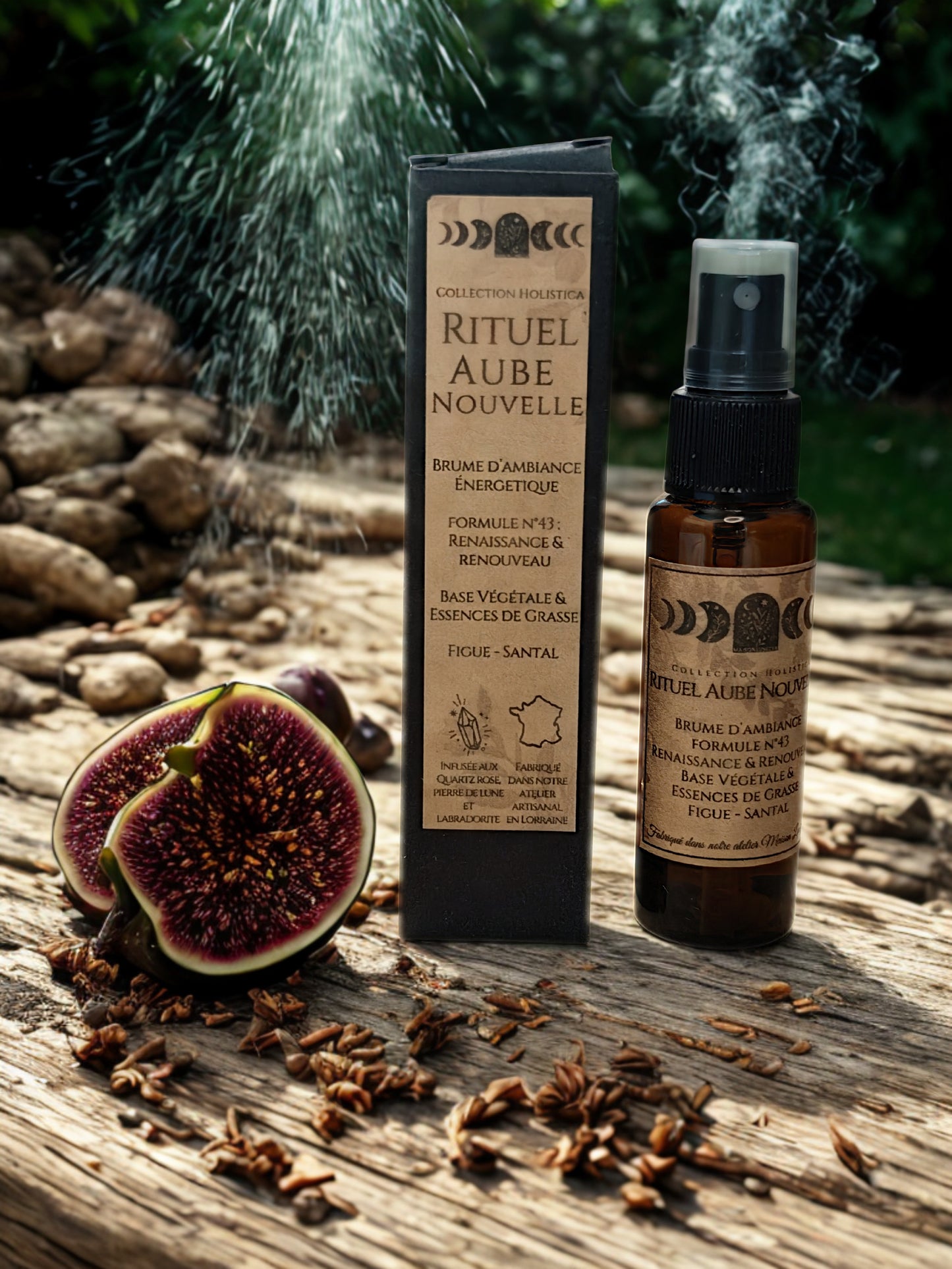 Aube Nouvelle — Holistica — Formule n°43 : Renaissance & Renouveau