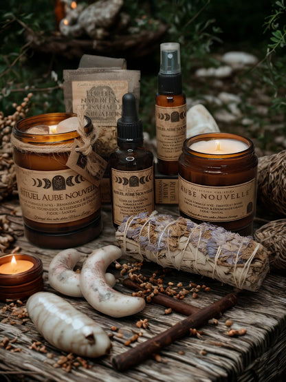 Aube Nouvelle — Holistica — Formule n°43 : Renaissance & Renouveau