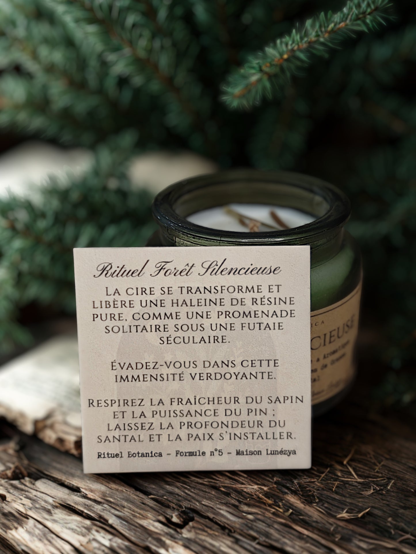 Botanica - Formule n°5 - Forêt silencieuse - Ancrage & Respiration